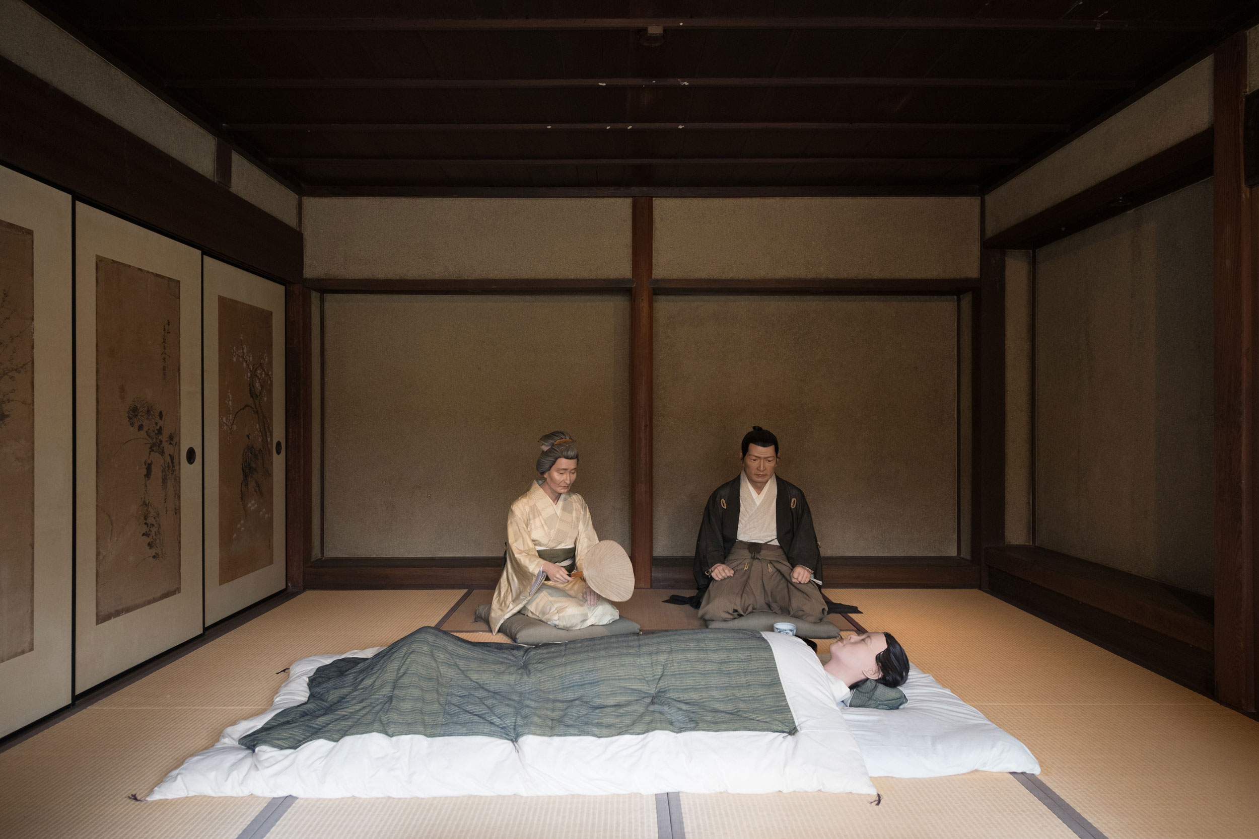 世界初！ 麻酔手術の先駆者、華岡青洲 | わかやま歴史物語